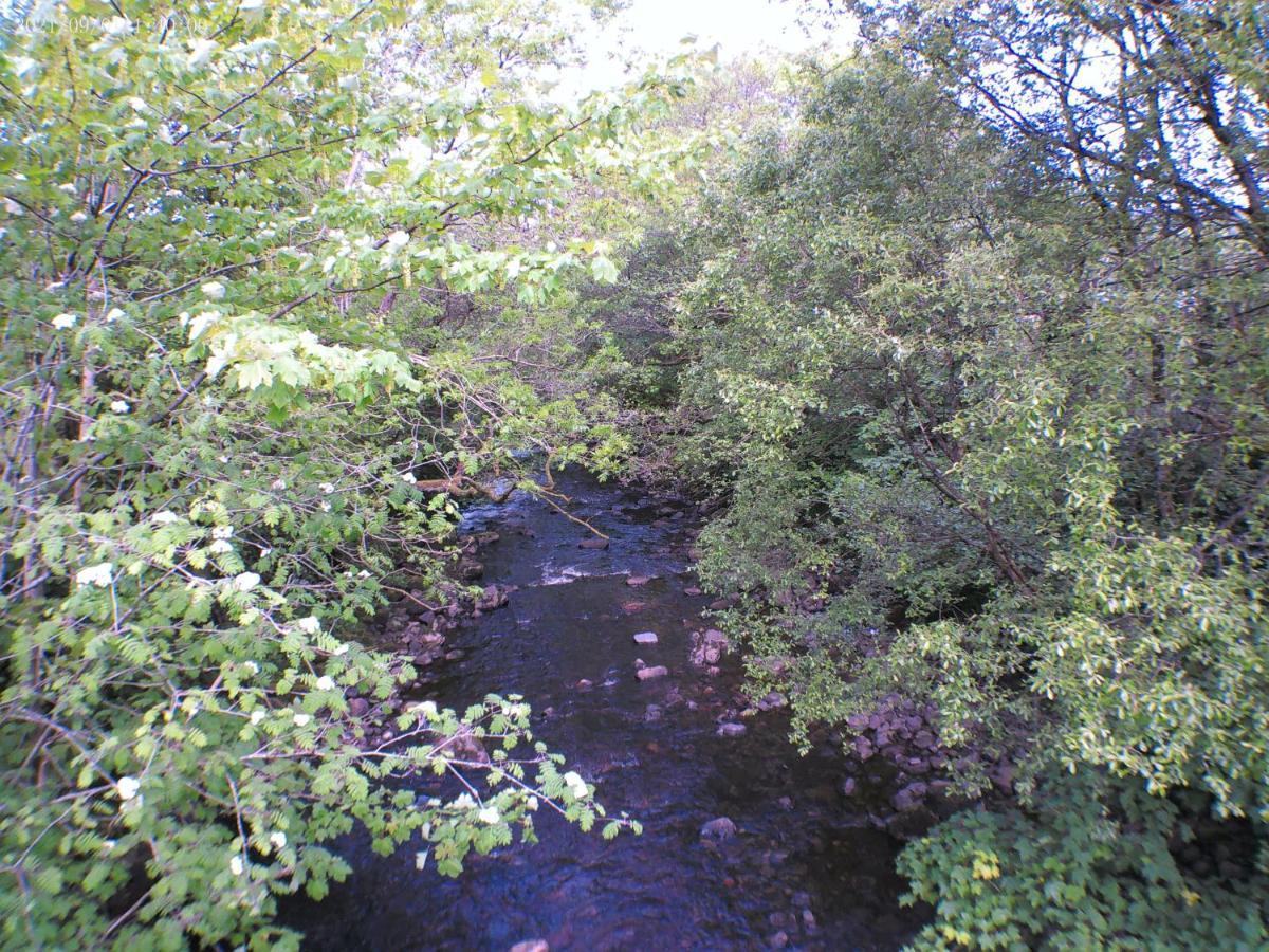 1 Bedroom Annex In The Heart Of Amman Valley Betws  Exteriér fotografie